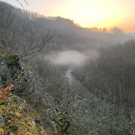 Casa vacanze La Chauve Souris